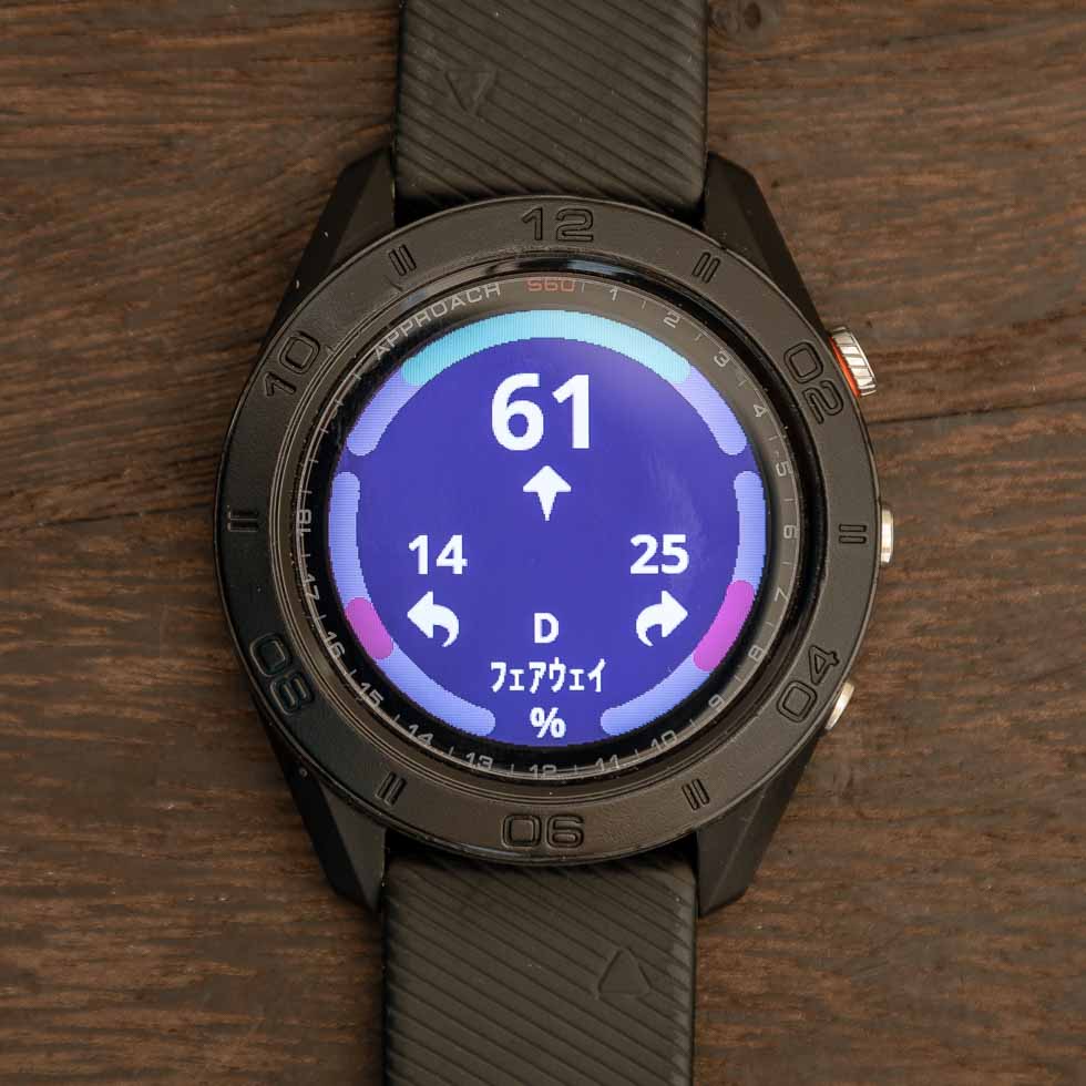 garmin S60 golf