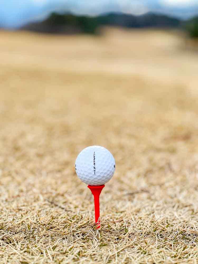 TourTee Plus ティー ゴルフ 画像